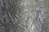 Chell Heath fibreglass roof work